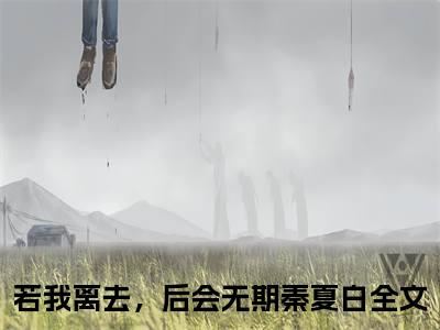 ﻿(番外)+(全文)若我离去，后会无期秦夏白下载阅读_(若我离去，后会无期秦夏白小说全文)若我离去，后会无期秦夏白最新章节列表_笔趣阁（若我离去，后会无期秦夏白小说全文）