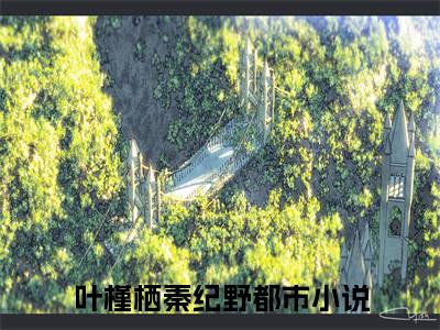 叶槿栖秦纪野全文免费阅读全文免费阅读无弹窗大结局_叶槿栖秦纪野全文免费阅读_笔趣阁