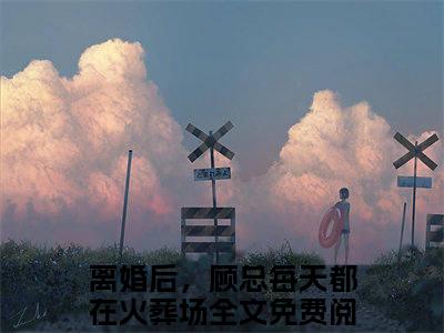 离婚后，顾总每天都在火葬场最新章节（沈瑶顾天佑）全文免费阅读无弹窗大结局_沈瑶顾天佑免费阅读