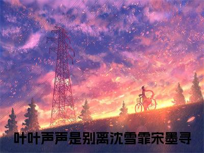 叶叶声声是别离小说全文免费阅读（沈雪霏宋墨寻）全文免费阅读无弹窗大结局_叶叶声声是别离最新章节列表