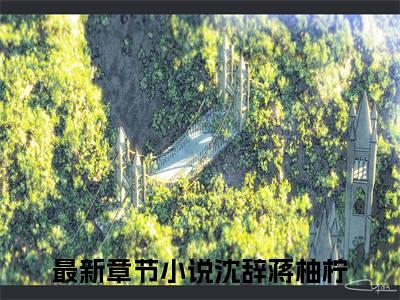 沈辞蒋柚柠（半生情爱成陌路）全文免费阅读无弹窗大结局_（沈辞蒋柚柠）半生情爱成陌路免费阅读无弹窗最新章节列表