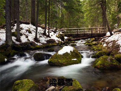 梁暮雪全文免费在线阅读_（梁暮雪许寄北免费阅读无弹窗）梁暮雪全文免费完结版阅读