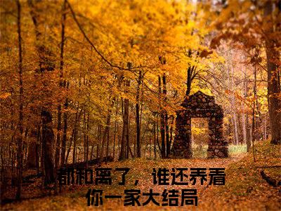 小说《沈明月欧阳长空》全文免费阅读无弹窗-都和离了，谁还养着你一家小说全文在线赏析_笔趣阁