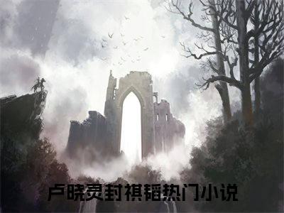 卢晓灵封祺韬（卢晓灵封祺韬无弹窗）全文免费阅读无弹窗大结局_卢晓灵封祺韬最新章节列表_笔趣阁（卢晓灵封祺韬无弹窗）