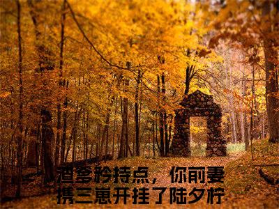 《渣爹矜持点，你前妻携三崽开挂了陆夕柠小说》在线阅读-渣爹矜持点，你前妻携三崽开挂了陆夕柠免费完整版在线阅读