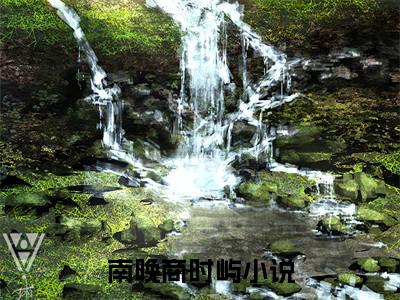 南晚商时屿（南晚商时屿）全文阅读完整版_南晚商时屿小说免费阅读大结局（南晚商时屿）