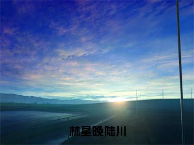 林星晚陆川（陆川林星晚）免费阅读最新章节无弹窗 陆川林星晚完整版小说在线阅读