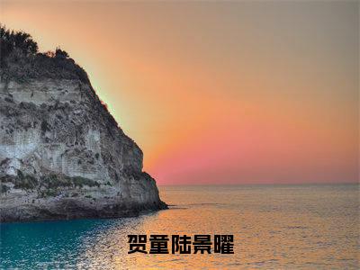 陆景曜贺童（贺童陆景曜）全文免费阅读无弹窗大结局_贺童陆景曜全文在线阅读