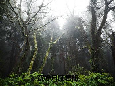 沈妤月陆君阳免费阅读无弹窗大结局-陆君阳沈妤月（沈妤月陆君阳最新全章节大结局）全文阅读