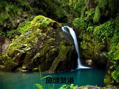 邱颜贺湛（贺湛邱颜）免费小说-贺湛邱颜全文阅读目录