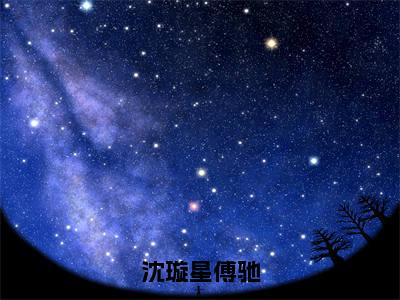 沈璇星傅驰(傅驰沈璇星)抖音热推小说全集无删减,傅驰沈璇星小说在线免费阅读大结局