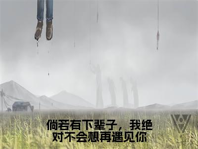 沈若云傅承安（倘若有下辈子，我绝对不会想再<a href=