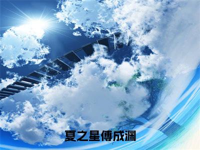 夏之星傅成渊（傅成渊夏之星）全文免费阅读无弹窗_夏之星傅成渊最新小说_笔趣阁（傅成渊夏之星）