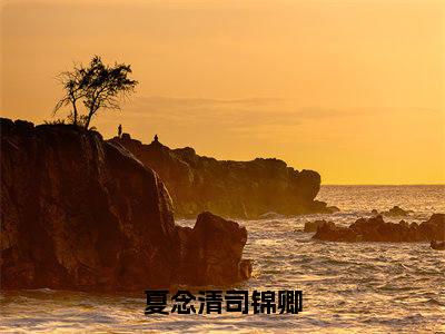 夏念清司锦卿（司锦卿夏念清）全文免费阅读无弹窗大结局_夏念清司锦卿免费阅读无弹窗