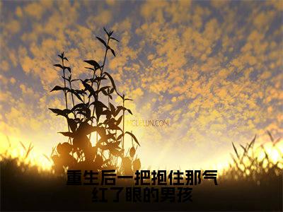 重生后一把抱住那气红了眼的男孩（陆离贺斯年）全文免费阅读-(陆离贺斯年小说)重生后一把抱住那气红了眼的男孩最新章节列表_笔趣阁（陆离贺斯年）