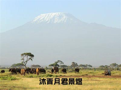 君景煜沐青月小说全文-沐青月君景煜小说免费阅读大结局