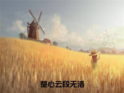 楚心云段无洛小说全文免费阅读（段无洛楚心云）全文免费阅读无弹窗大结局_（楚心云段无洛）段无洛楚心云结局最新章节列表_笔趣阁（段无洛楚心云）