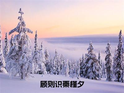 顾则识秦槿夕全文无弹窗阅读 秦槿夕顾则识大结局全文免费