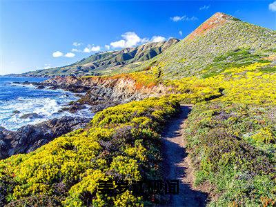 姜岁江砚闻（江砚闻姜岁免费阅读无弹窗）江砚闻姜岁最新章节列表_笔趣阁