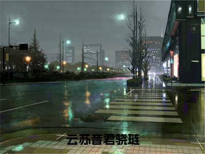 云苏音君骁琏（君骁琏云苏音）全文完整版免费阅读-主角叫君骁琏云苏音的小说云苏音君骁琏