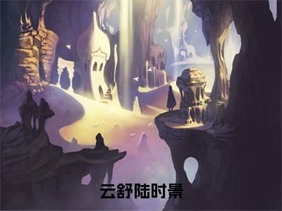 云舒陆时景（陆时景云舒）全文免费阅读无弹窗大结局_陆时景云舒最新章节列表_