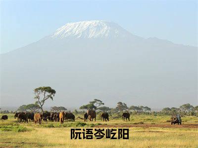 阮语岑屹阳（岑屹阳阮语全章节完整版）免费阅读_（阮语岑屹阳）岑屹阳阮语全文无删减免费阅读（阮语岑屹阳）