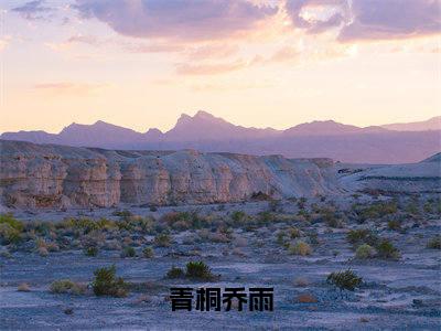 （乔雨青桐）全文免费阅读无弹窗大结局_青桐乔雨免费最新章节列表_笔趣阁