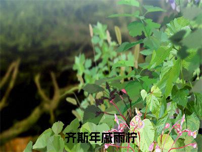 齐斯年戚雨柠小说免费下载（齐斯年戚雨柠完整全集已完结大结局小说）_戚雨柠齐斯年免费阅读笔趣阁