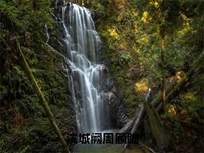 （热推新书）《沈城阙周顾瞻》全文免费阅读最新章节大结局-周顾瞻沈城阙无弹窗阅读