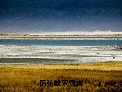 厉弘峻宋雪卉小说热门章节免费阅读_厉弘峻宋雪卉最新章节列表_笔趣阁