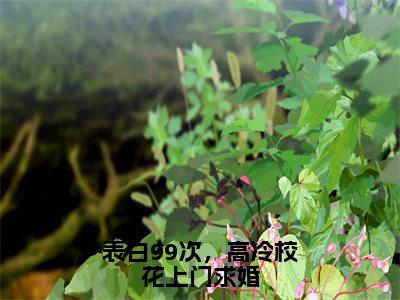 表白99次，高冷校花上门求婚结局_（顾三）表白99次，高冷校花上门求婚最新章节列表_笔趣阁