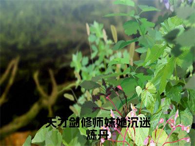 时宣最新完结免费阅读-天才剑修师妹她沉迷炼丹悬疑小说在线阅读