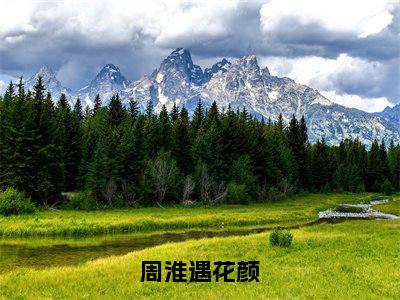 花颜周淮遇（周淮遇花颜）全文阅读完整版_周淮遇花颜小说免费阅读大结局（花颜周淮遇）