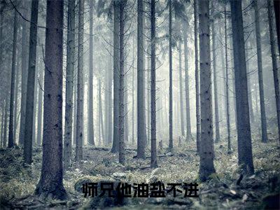 师兄他油盐不进（洛盈儿）小说精彩免费内容_师兄他油盐不进最新章节全文阅读（洛盈儿）