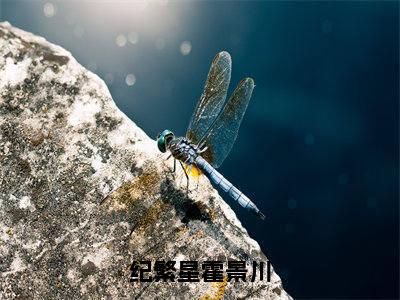 纪繁星霍景川（纪繁星霍景川）小说全文无删减-纪繁星霍景川小说免费阅读大结局