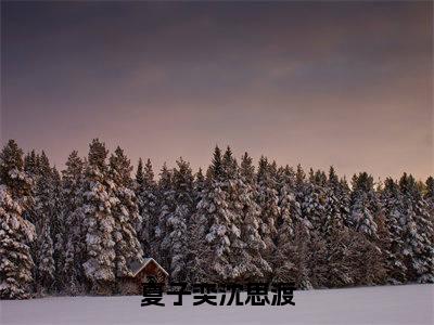 夏子奕沈思渡小说全文免费阅读最新章节_沈思渡夏子奕（夏子奕沈思渡）免费观看完结版_笔趣阁（沈思渡夏子奕）