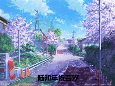 《祝芸汐陆知年》全文免费阅读无弹窗大结局-陆知年祝芸汐无弹窗阅读