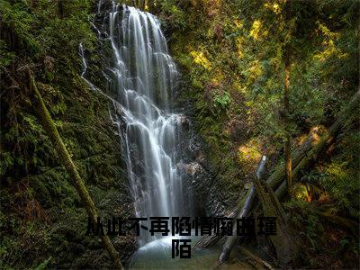 从此不再陷情痴曲瑾陌全文免费阅读无弹窗大结局_（甄希薇曲瑾陌在线阅读）从此不再陷情痴曲瑾陌最新章节完整版阅读