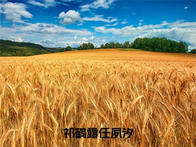 祁鹤露任夙汐（任夙汐祁鹤露）抖音热推小说全集无删减_（任夙汐祁鹤露免费阅读全文大结局）最新章节列表_笔趣阁