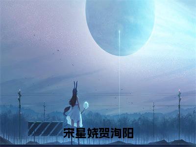 宋星娆贺洵阳全文免费阅读大结局-宋星娆贺洵阳完整版无弹窗