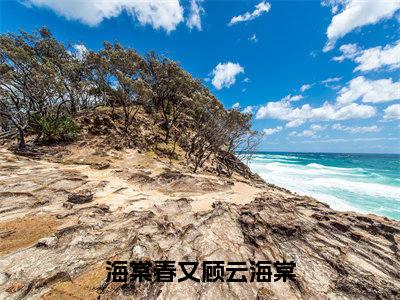 云海棠小说（海棠春又顾云海棠）全文免费阅读无弹窗大结局_（云海棠免费阅读全文大结局）最新章节列表