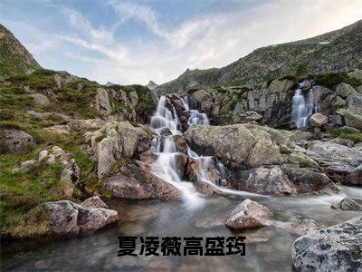 夏凌薇高盛筠（夏凌薇高盛筠）全文免费阅读无弹窗_夏凌薇高盛筠最新小说_笔趣阁（夏凌薇高盛筠）