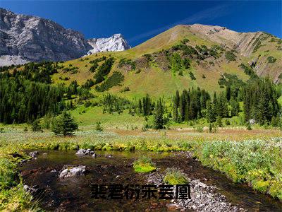 裴君衍宋芸凰小说主角是（宋芸凰裴君衍）全文完整版免费阅读最新章节列表_宋芸凰裴君衍小说在线阅读