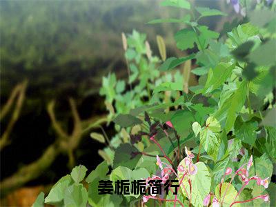 姜栀栀简行（简行姜栀栀）全文免费阅读_简行姜栀栀（姜栀栀简行）最新章节列表笔趣阁