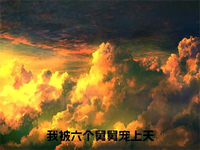 我被六个舅舅宠上天（雪宝）全文免费阅读无弹窗大结局_我被六个舅舅宠上天（雪宝）全文阅读_笔趣阁