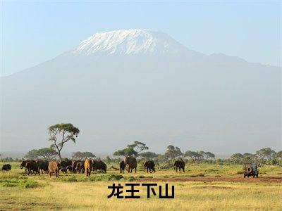 林天（龙王下山）最新免费小说（林天）全文大结局-龙王下山今日已更新最新章节