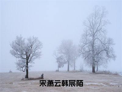 宋萧云韩宸陌（韩宸陌宋萧云）免费阅读最新章节无弹窗韩宸陌宋萧云完整版小说在线阅读