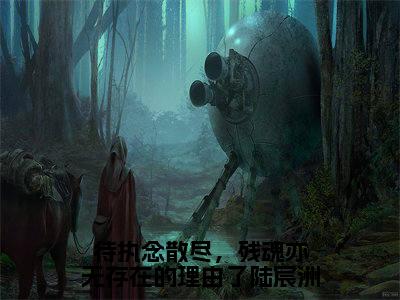 待执念散尽，残魂亦无存在的理由了陆宸洲（陆宸洲黎沐晚）全文完整版免费阅读_陆宸洲黎沐晚（待执念散尽，残魂亦无存在的理由了陆宸洲全文免费阅读）最新章节列表