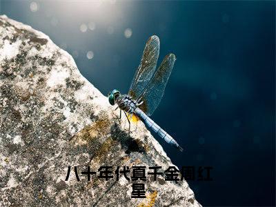 魏琳琅周红星全文免费（八十年代真千金周红星）全集小说完整版大结局-魏琳琅周红星全文阅读无弹窗