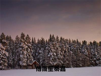 小说傅简笙秦嘉免费阅读-（秦嘉傅简笙）傅简笙秦嘉最新章节小说阅读-笔趣阁